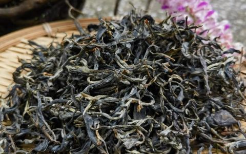 古树普洱茶多少钱一斤？价格区间与影响因素全解析
