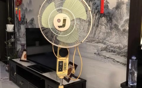 菊花怎么养才能开花多？6步光照水肥修剪指南，养出爆盆金菊