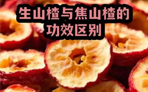 生山楂与炒山楂的功效区别及食用指南