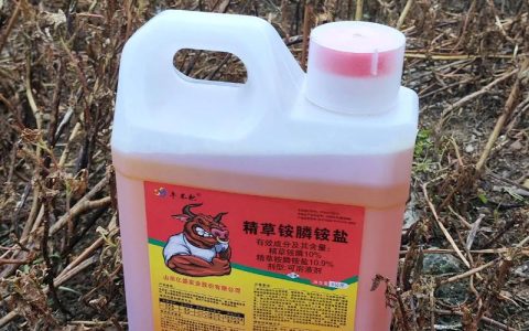 多年生杂草用什么除草剂效果好？5种高效方案及安全使用指南