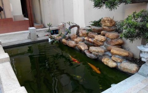 庭院假山鱼池最佳位置：兼顾景观与科学的布局指南