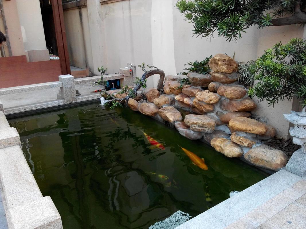 庭院假山鱼池最佳位置：兼顾景观与科学的布局指南