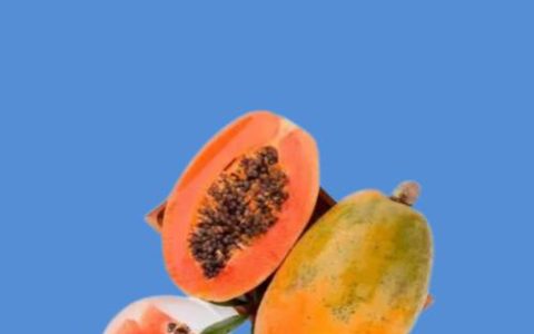 木瓜能直接生吃吗？食用木瓜与观赏木瓜的区别及注意事项