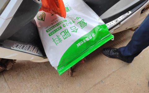 茉莉花用什么肥好？新手养茉莉施肥全攻略