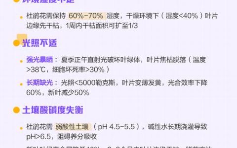杜鹃花百科：别名、特征、习性及养护要点