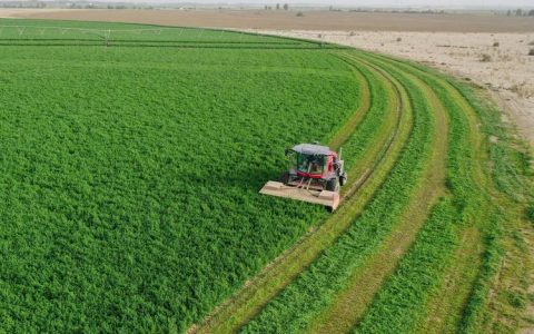 牧草种植每亩投入多少钱？2026年种子、肥料与机械成本参考
