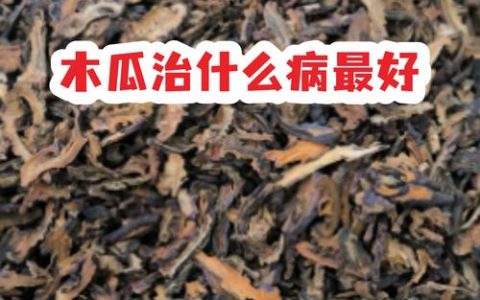 中药木瓜与水果木瓜的区别及功效解析：木瓜治什么病最好？