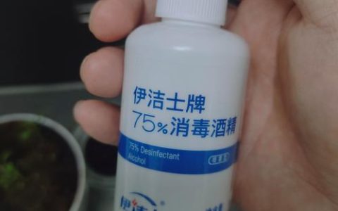 栀子花生虫了怎么办？安全用药指南与药食同源养护技巧