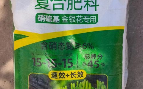 金银花施肥全攻略：三种肥料助你花开满枝