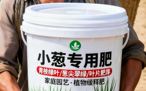 家庭种葱施肥指南：哪种肥料让葱长得又粗又绿？