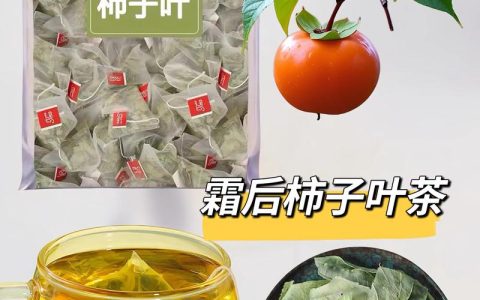 柿子叶泡水喝有什么好处？清热润肺与辅助降血压的实用指南