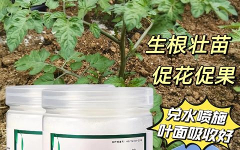 幼苗可以喷磷酸二氢钾吗？浓度、时间与禁忌全解析