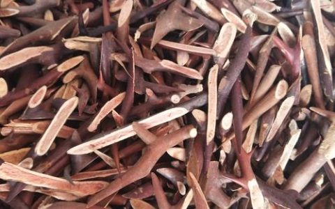 皂角刺价格多少钱一斤？产地、规格与采购量如何影响报价