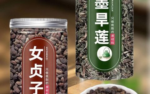女贞子功效与主治：补肝肾、明目的中草药科普