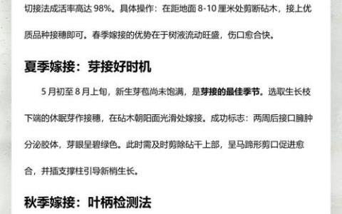 桃树嫁接最佳时间与全流程技术指南