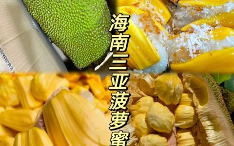 海南菠萝蜜价格多少钱一斤？2026年市场参考与影响因素分析