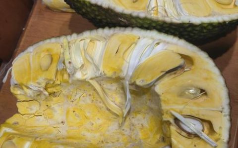 菠萝蜜多少钱一个？规格、产地与季节如何影响报价