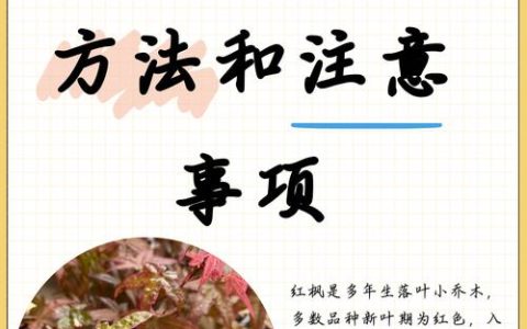 红枫树移栽成活与养护全攻略：种植时间、土壤、支撑与修剪