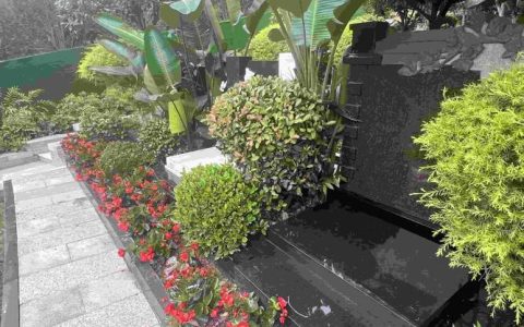 墓地最旺三种绿植推荐：松柏冬青竹的养护与风水寓意