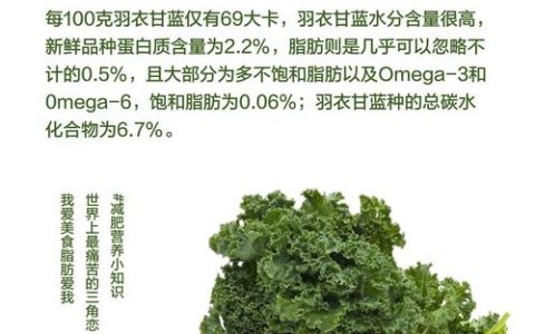 羽衣甘蓝有什么功效？从食用到安全的全面科普指南