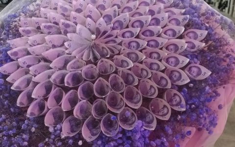 人民币上的花分别是哪些花：从荷花到兰花的国花图鉴