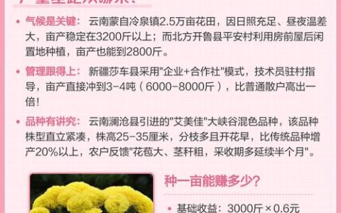 万寿菊一亩产多少斤？高产栽培与养护全攻略