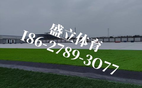 人工草坪每平米价格是多少？规格、产地、采购量影响报价