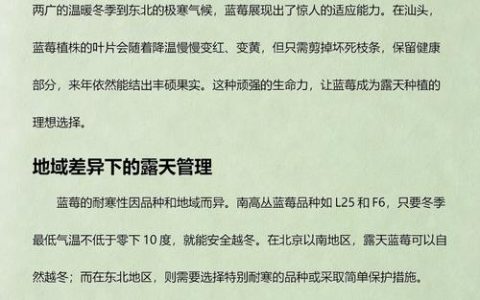 蓝莓冬天怎么养才能安全过冬? 家庭园艺养护全攻略