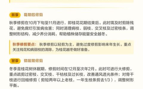 桂花修剪时间几月份最好？家庭养护全指南