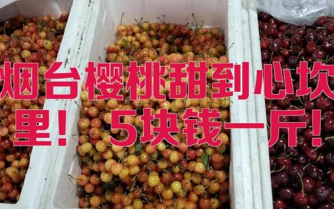 烟台樱桃多少钱一斤？价格受品种、规格、季节影响