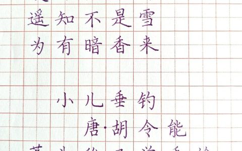 关于梅花的诗有哪些？盘点经典咏梅诗词与赏析
