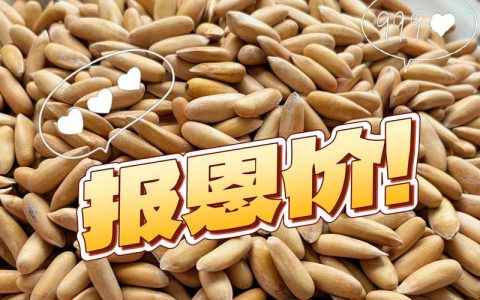 巴西松子多少钱一斤？产地、规格与季节影响报价