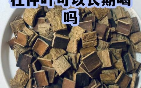 杜仲和杜仲叶功效一样吗？一文读懂杜仲树皮与杜仲叶的区别