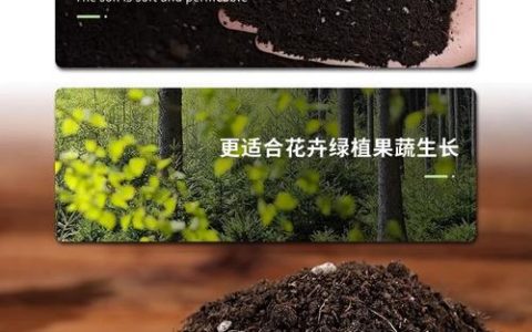 什么土是酸性土壤？家庭园艺调酸全指南