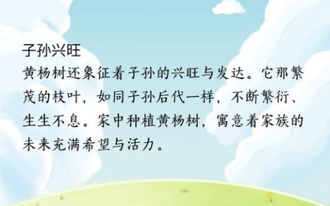 黄杨树的寓意、科学养护与庭院风水解析