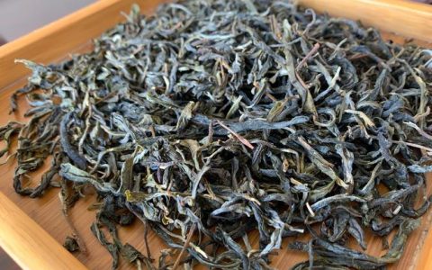 古树茶价格一斤多少钱？规格、产地、季节影响报价