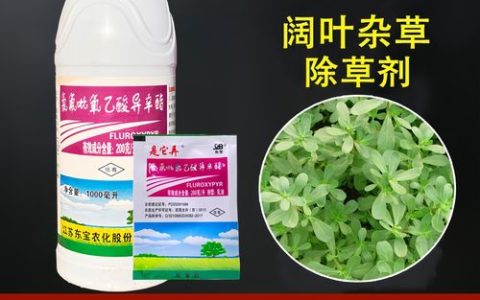 阔叶杂草除草剂有哪些？6种高效配方及安全使用指南