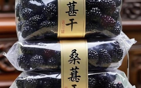 桑葚干价格多少钱一斤？产地、品质与采购量影响报价