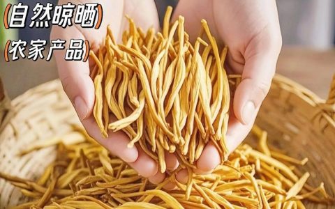 黄花菜有几个品种？6个维度深度对比，新手如何选？