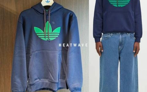 三叶草种植与养护全攻略：从选种到开花