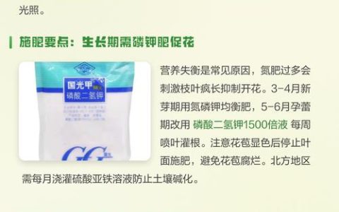 栀子花不开花是什么原因及解决方法