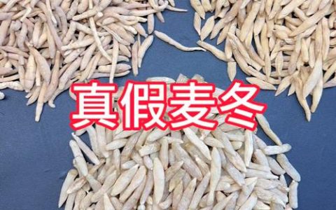 真麦冬与假麦冬的区别：如何辨别正宗麦冬与山麦冬