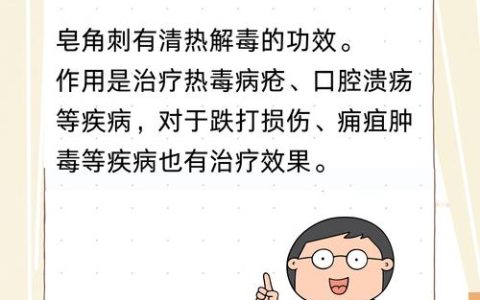 皂角刺的作用与功效：消肿排脓、祛风杀虫，但这几类人慎用！