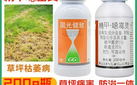 兰花根腐病用什么药最好？专业防治与安全用药指南