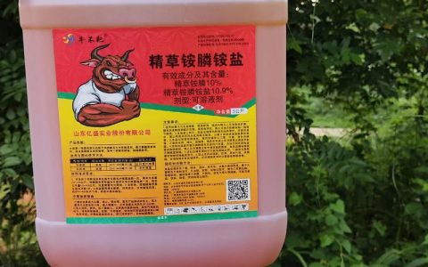 草坪除杂草专用除草剂怎么选？禾本科与阔叶草针对性防治方案