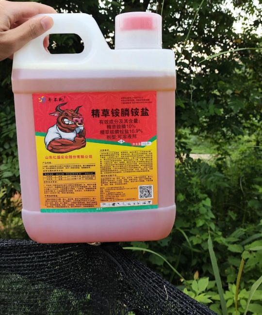 草坪除杂草专用除草剂怎么选？禾本科与阔叶草针对性防治方案