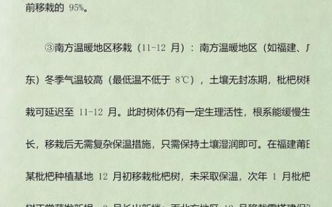 枇杷树移栽最佳时间及全流程种植技术指南