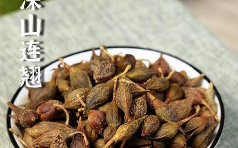青翘和连翘有什么区别？一文看懂植物学分类与药用价值