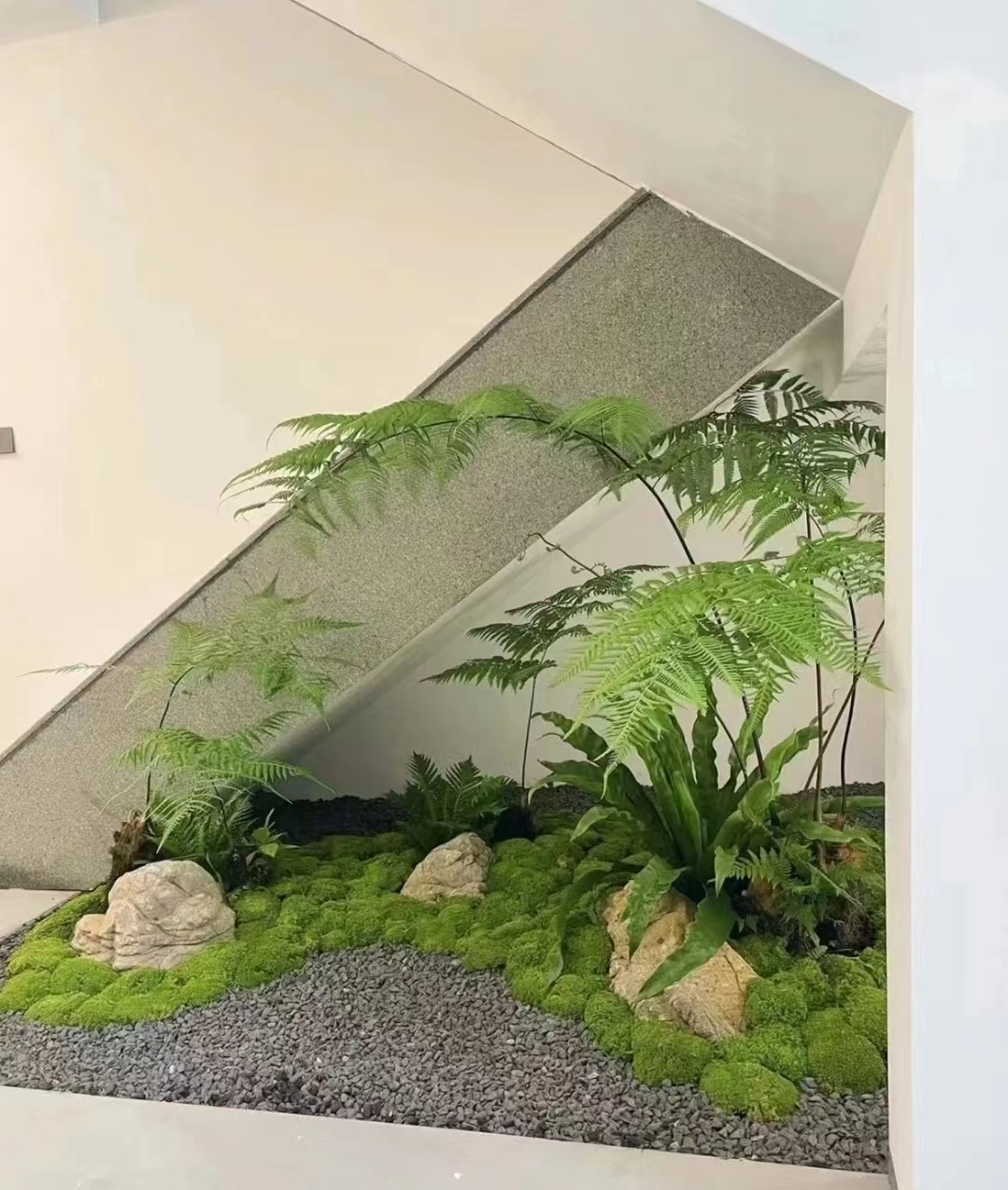 菩提 办公室绿植租赁 花卉基地 绿植盆栽 种类齐全