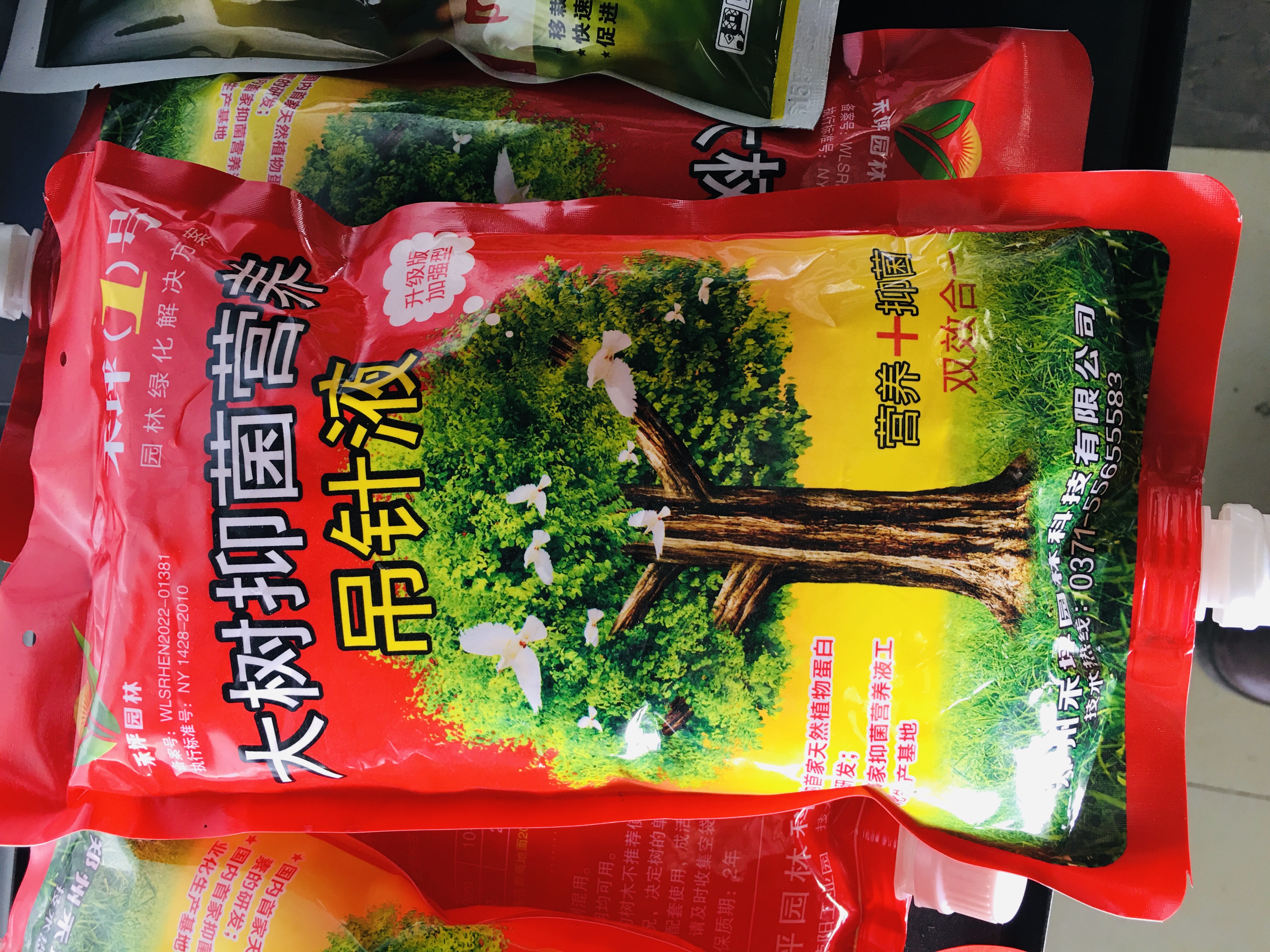 绿牧花种 景区观赏油菜花种子 在线选品 颗粒饱满 加工定制 基地直发 绿牧花种 景区观赏油菜花种子 在线选品 颗粒饱满 加工定制 基地直发
